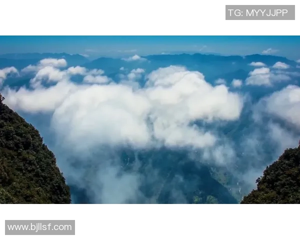 重庆羽毛球队区域防守分析及其在比赛中的成效与不足之处探讨